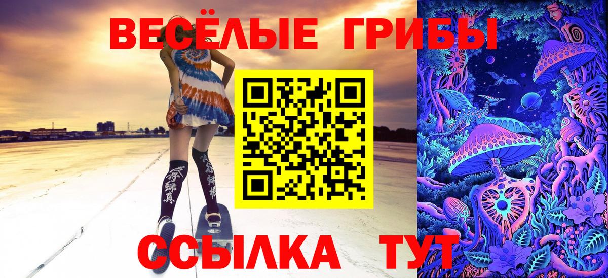 Псилоцибиновые грибы Cubensis  Вход с VPN  Галлюциногенные грибы ЛСД  Алейск 